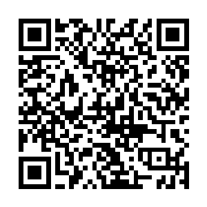 老者出人意料的话让一旁的中年男子表情变得僵硬起来二维码生成