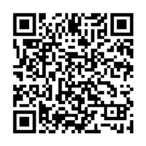 老者整个人就如一叶孤舟行驶在风雨飘摇的大海之上二维码生成