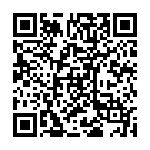 老者此时只感觉自己仿佛暴风雨中的一叶扁舟一般二维码生成