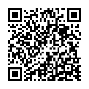 老者的脸上顿时也充满了无尽的难以置信和不甘的报请二维码生成