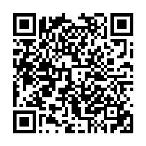 老胡同里不起眼的小店面可能就藏着最地道的美食二维码生成