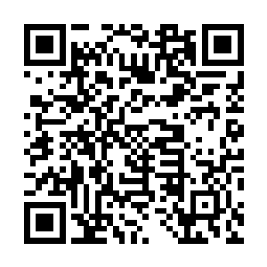 老虎仿佛感受到了叶秋带给他的危险性要比唐嫣强大很多二维码生成