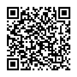 老虎步伐缓慢就像围着猎物一般绕着叶秋身边寻找机会二维码生成