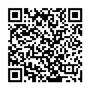 老虎这个王八蛋早就把人家祖传的训鹰本事学到手了二维码生成