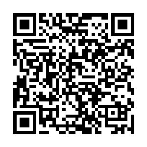 老谋子和冯晓刚不算成功的展现了自己拍大片的能力二维码生成