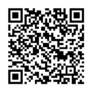 老道看着自己被多因果互噬卷断了半截拂尘丝的拂尘二维码生成