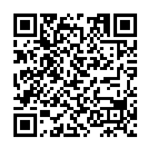 老马丁更是在2006年才一圆自己的奥斯卡小金人梦二维码生成