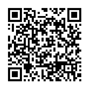 老鸨不留痕迹的将几枚混元丹塞进了两人的手中二维码生成