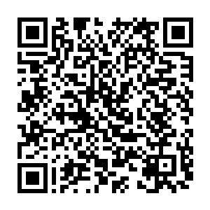 老鹰尸兄都能感受到自己的可以撕金断铁的爪子刺入了白小飞背部的衣服二维码生成
