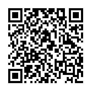老黄和老白肯定会第一时间做出对自己帮派最有益的选择二维码生成