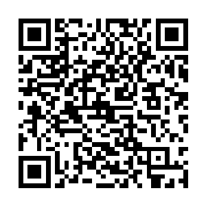 老黄就和康哥讲过可以趁着他们和龙门现在有交情二维码生成