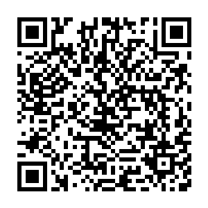 老黑……若是我先死……记得和君主大人说……若有来生……我白龙二维码生成