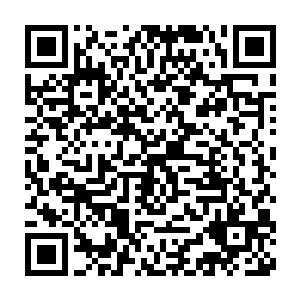 老鼠同学就毫不犹豫的接下了这个难度极高非常考验演员演技的角色二维码生成