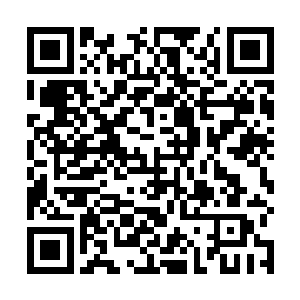老龙的没出息算是彻底破坏了他不战而屈人之兵的想法二维码生成