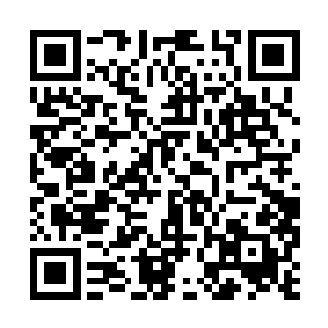 考出了不少资深形象设计师都无法考出的中级执照二维码生成