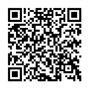 考生们带着泠泠冷汗像逃难一样离开格斗楼大堂二维码生成