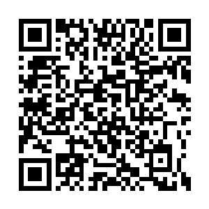 考虑到周嫫只是出于对李谦本人的绝对信任的话二维码生成