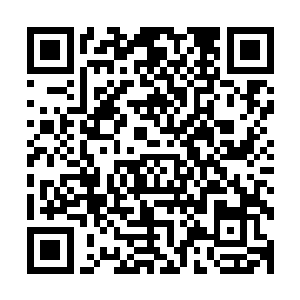 考虑到当时的战斗环境……欧布直接挂在那里也是很有可能的二维码生成