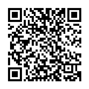 考虑到扎伊德有十六个老婆……天知道他是哪个总统夫人的弟弟二维码生成