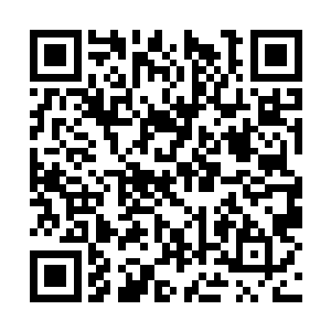 考虑到这次任务还极有可能用到圣武士的真理天枰二维码生成