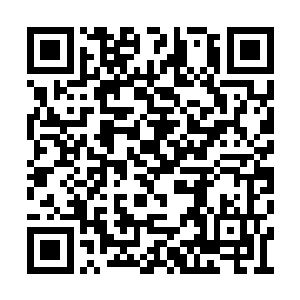 考虑着是不是把这个爱自作聪明的家伙赶出去先二维码生成
