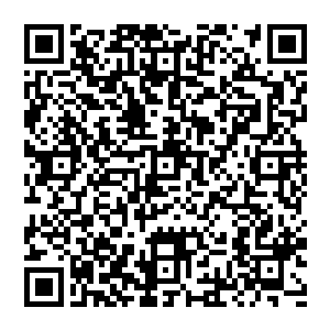 而一个之前被他讥讽数落的小神棍却反倒一个转身成为酒店餐饮部经理和老板都尊敬有加的尊贵客人二维码生成