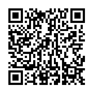 而一些听到动静打算过来看热闹的路人也已经作鸟兽散二维码生成