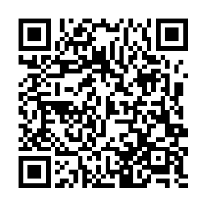 而一些天才会因为天赋的属性变化而凝聚出本属元力二维码生成