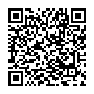 而一千的龙形灵药足以让所有的化元境武道之人大动干戈二维码生成