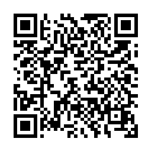 而一旁一直默不作声的苗柔也是无比震惊地看着这一幕二维码生成