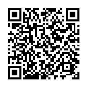 而一旁的数十名士兵看着一个个生龙活虎的苏凡等人二维码生成