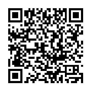 而一旁的程熙自然能够感觉到他那邪肆明媚的坏笑二维码生成