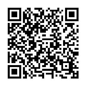 而一旁的老板娘则是在一边不安地看着这个黄阿毛二维码生成