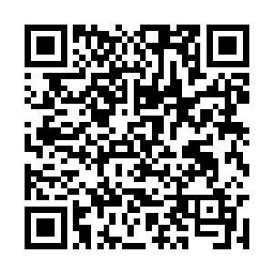 而一直和秦宇形影不离的那位漂亮的孟小姐却不在二维码生成