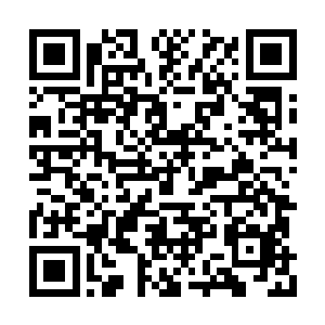 而一直在一旁装壁花围观的血幽紫忍不住出声道二维码生成