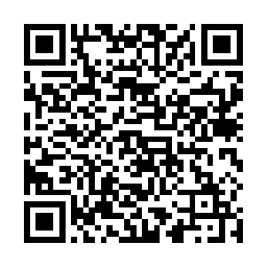 而一直在许紫烟识海内的丹一和丹二也回到了紫烟空间二维码生成