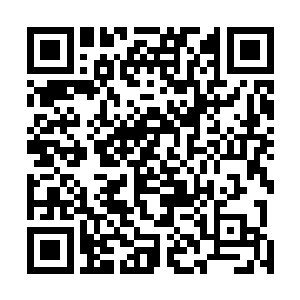 而一直守护监督在法阵四周的那一道道藏身黑暗中的身影二维码生成