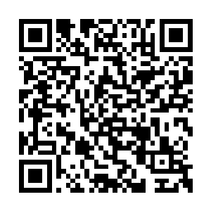 而一直将目光汇集到修罗和娜丽丝身上的佳斯特二维码生成