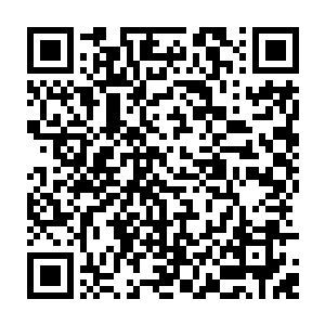 而一直由阿德耶总统操控的多尼亚最大的政党民族复兴党宣布改组为民主党二维码生成