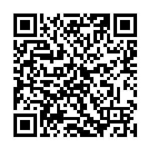 而一直近距离盯着她的两人也立即确认了她醒了过来二维码生成