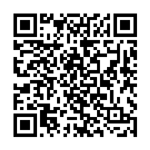 而一般弟子甚至第一个回合都没有扛过去就给打飞了二维码生成