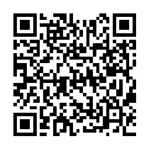 而一路回追的法布雷加斯这个时候才一个滑铲过来二维码生成