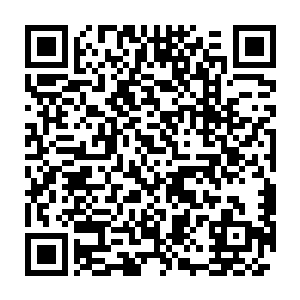 而一身血迹的世子殿下正低头望着怀中两只才刚刚投胎睁眼的幼兽二维码生成