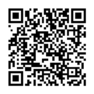 而一车的十几人见状只颇有兴致的看起了热闹来二维码生成