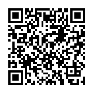 而一边的古勃勒和二级术士脸上则全是羡慕的神色了二维码生成