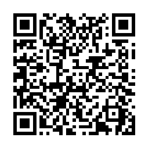 而万物亨通应该就是指的深山的的树木飞禽野兽吧二维码生成