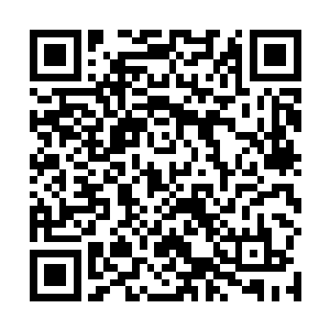而三只四眼战猫中的两只也立刻从余佳佳的身上跳起来二维码生成