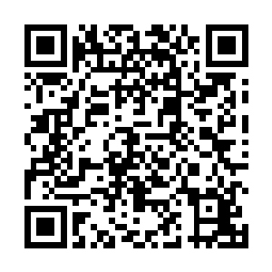 而三清是他们利用同一个胚胎创造出来的三个不同生命二维码生成