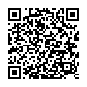 而下一幕就切换成了可乐和曼托斯在公寓里谈论着今天的冒险二维码生成