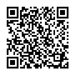 而下一次召唤白起的时间还没有到来――根据我的计算二维码生成